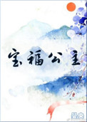 宝福公主小说封面