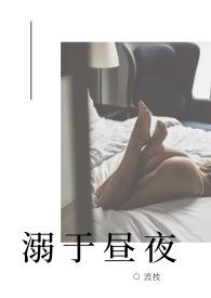 溺于昼夜(高H NP)